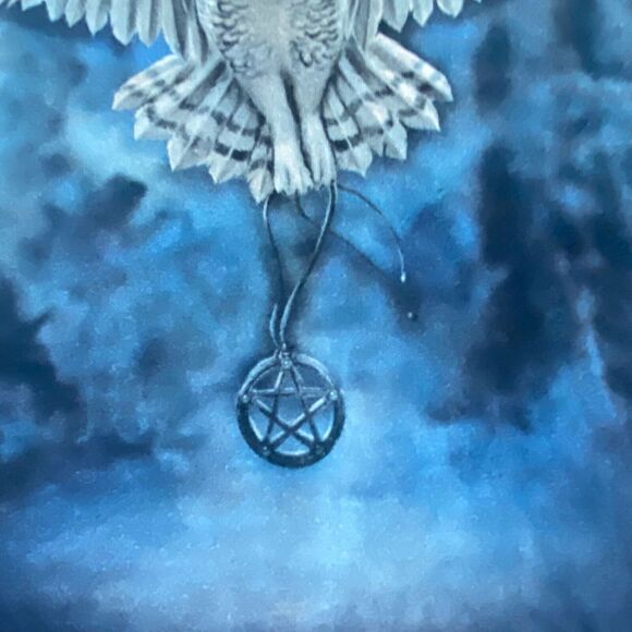 The Mountain T-Shirt Men's XL Blue Arctic Wiccan Owl Anne Stokes Collection - Picture 5 of 8